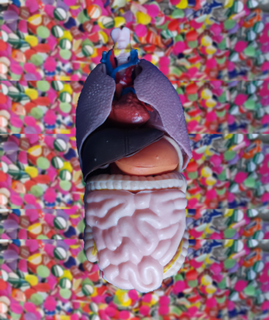 organes