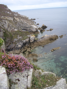 mer et bruyère